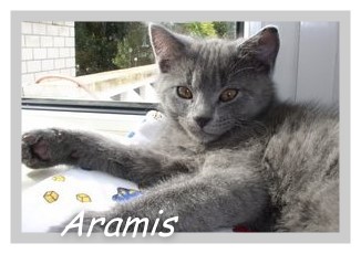 Luna's Baby Aramis