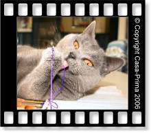 unsere Nelly