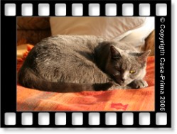 unsere Nelly