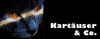 katzenverzeichnis